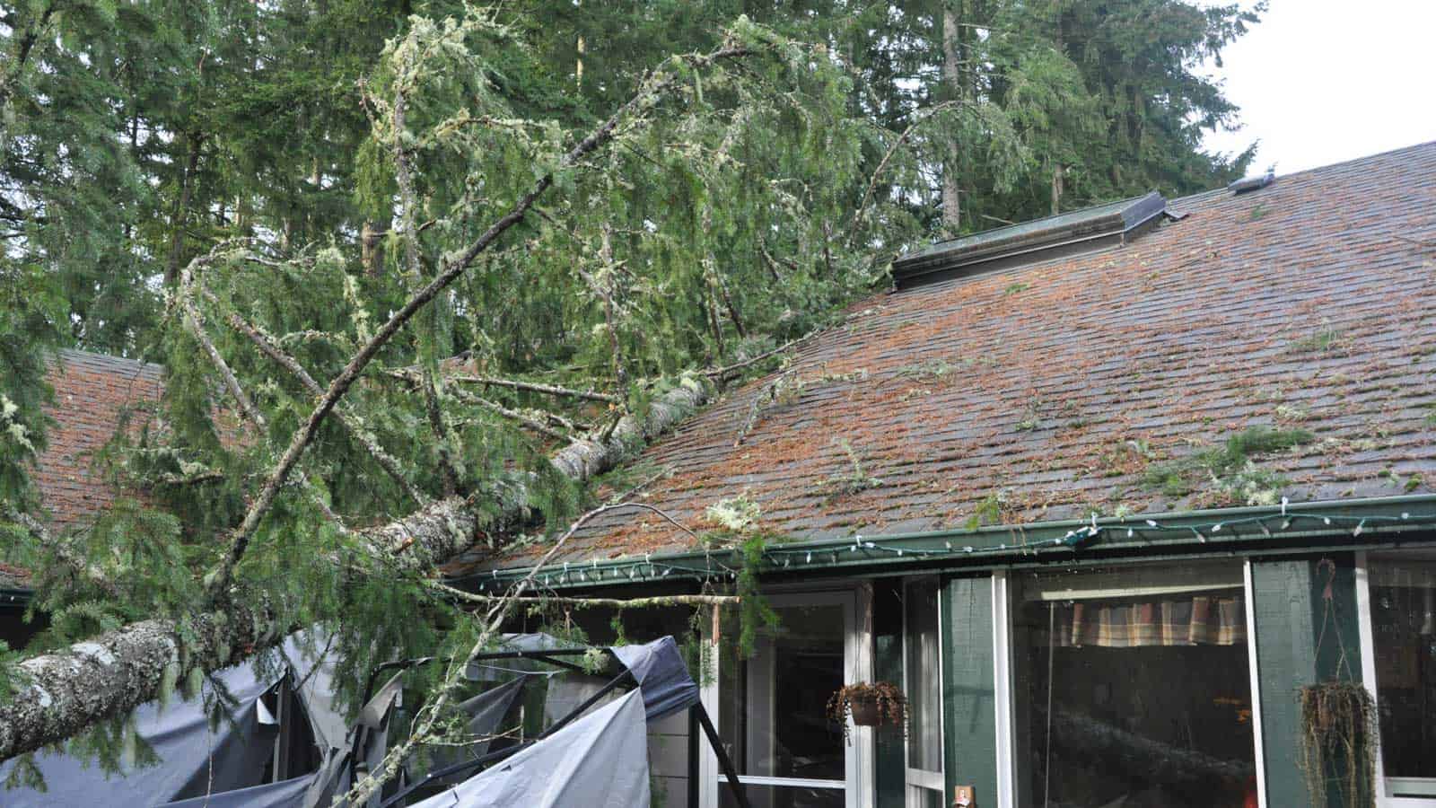 Roof damage like this might be avoidable. Here’s what you should never do to your roof!